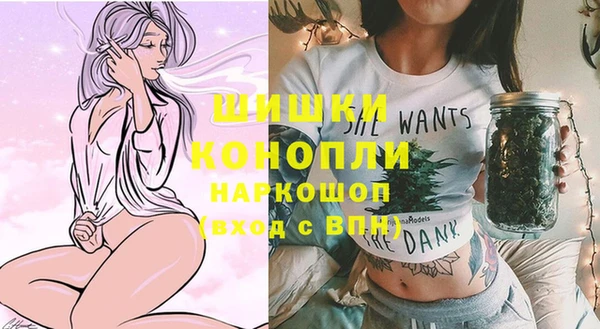 стафф Бронницы